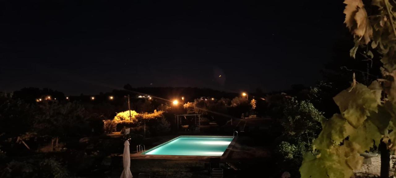 Casa De Santa Ana Da Beira Bed & Breakfast