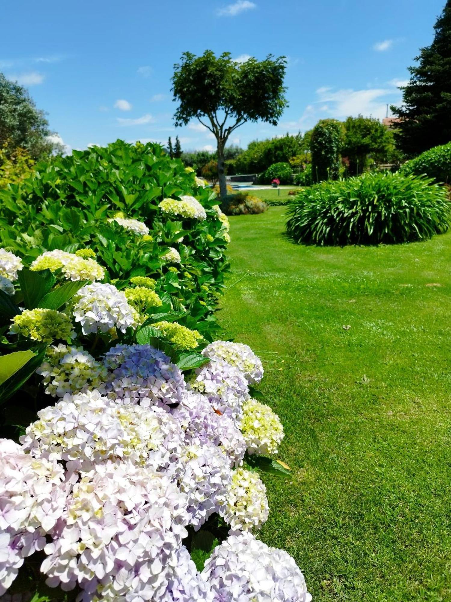 Casa De Santa Ana Da Beira Bed & Breakfast